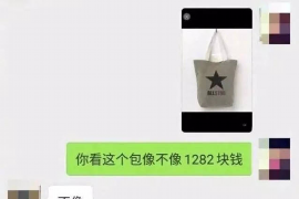 特克斯为什么选择专业追讨公司来处理您的债务纠纷？